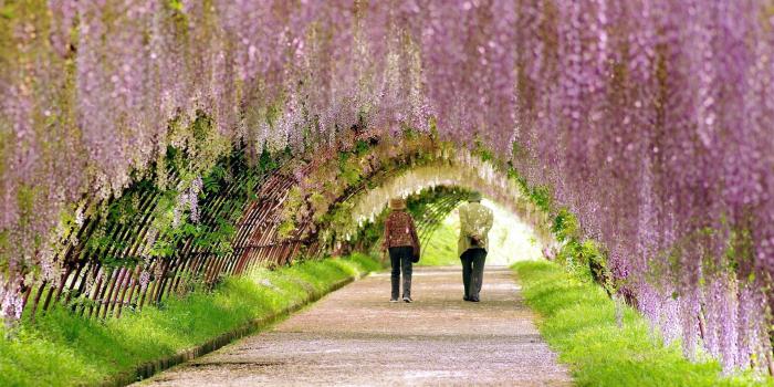 1920x1080 20+ Beautiful Spring Wallpaper