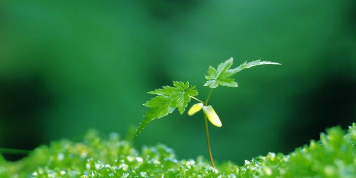 1920x1200 Spring Pictures Wallpaper - (32+) Group Wallpapers