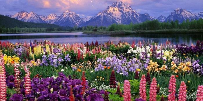 1920x1080 55+ Spring Landscape Wallpapers - Download at WallpaperBro