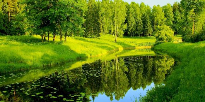 1440x900 Spring Wallpaper for Android - APK Download