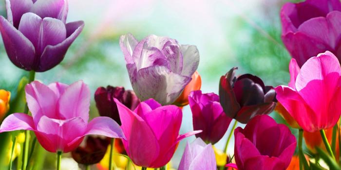 1920x1200 Spring Wallpaper #6887847