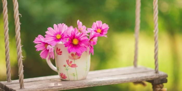 1366x768 Spring Wallpaper 16 - 1671 X 1048