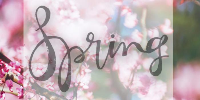 1152x2048 Free Spring Wallpaper | Roux