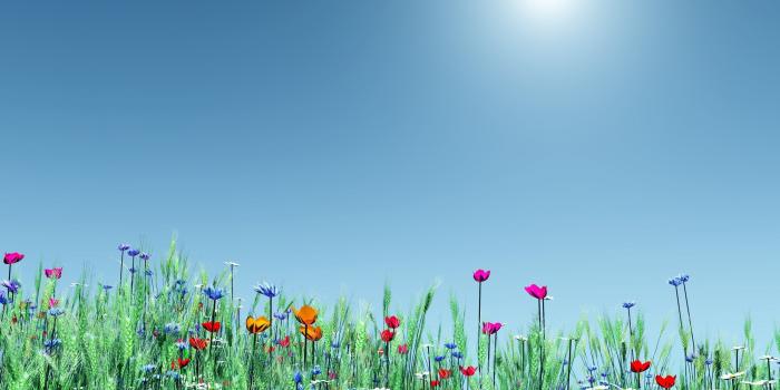 2560x1600 Digital Spring wallpaper