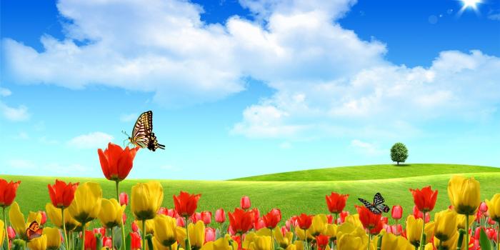 1920x1200 Spring wallpaper backgrounds Gallery