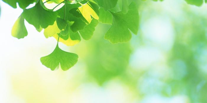 1920x1200 26 more Android wallpapers for Spring 2013