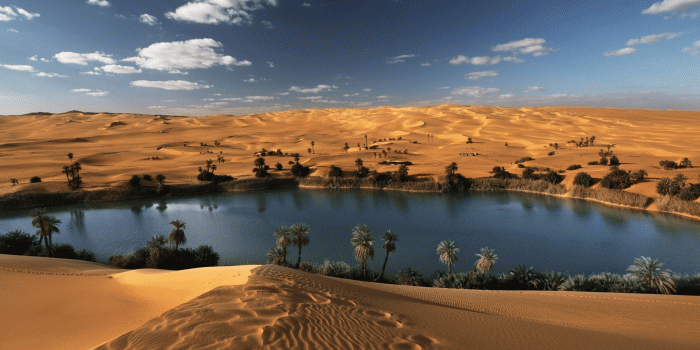 2560x1600 13 Oasis HD Wallpapers | Background Images