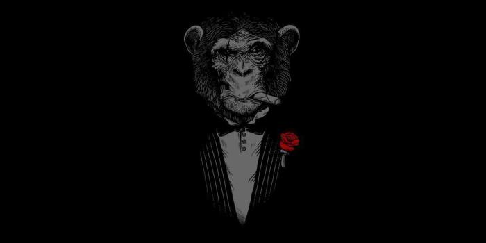 1152x864 Swag Wallpapers