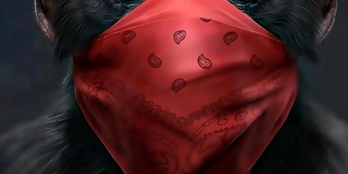 900x1600 Monkey swag mobile wallpaper,Monkey wallpapers,Monkey mobile