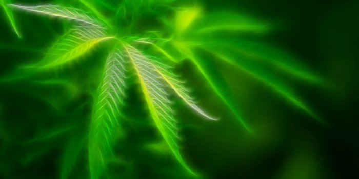 1920x1080 Marijuana Weed 420 Ganja Y Wallpaper (#182552) - HD Wallpaper Download