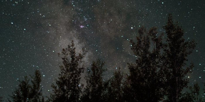 2160x3840 Starry Sky Stars Trees Night Wallpaper - [2160x3840]