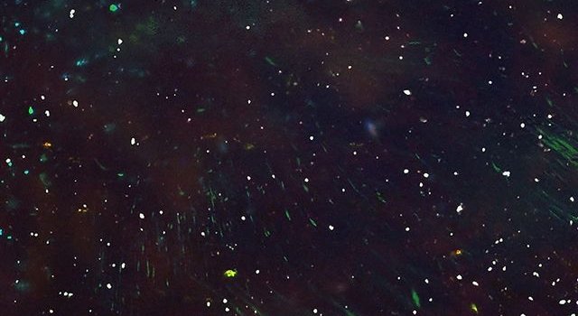 640x1385 The night sky stars iPhone X Wallpapers Free Download