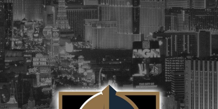 1080x1920 Vegas Golden Knights Wallpapers