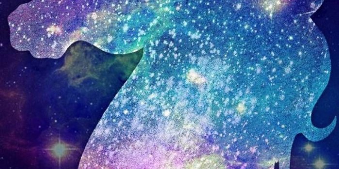 720x1280 Slay Unicorn wallpaper by oliviacamellia14 - 1c5acca5-fe3a-3197-89b2