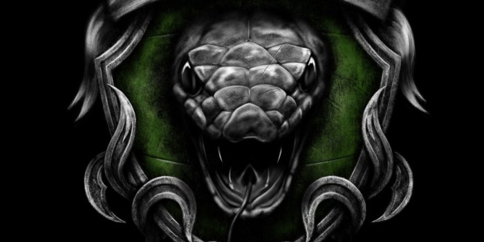 1920x2773 Ravenclaw Wallpapers (76+ background pictures)