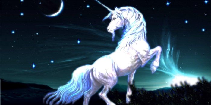 1440x900 Unicorn wallpaper | 1440x900 | #66213