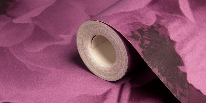 2848x2848 Plum Wallpaper 10 - 2848 X 2848