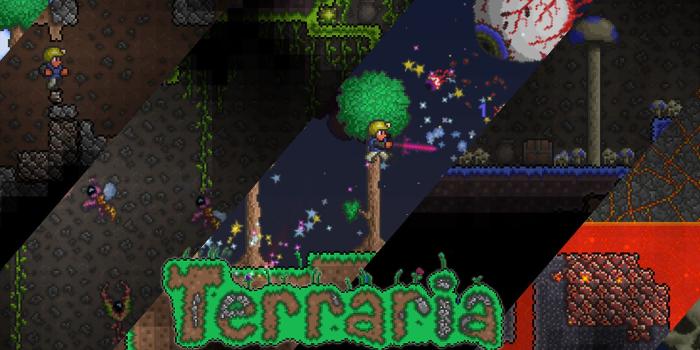 1920x1080 Terraria wallpaper | 1920x1080 | #82229