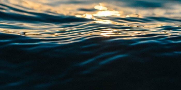 1242x2208 10 Amazing Nature HD Wallpapers and Backgrounds for Your iPhone 7