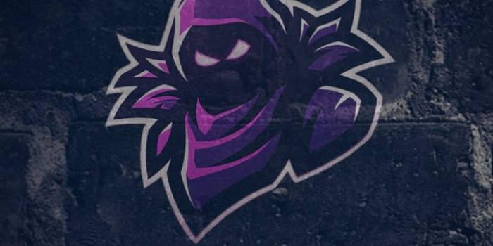 720x1280 Fortnite Raven Wallpaper by guus41641 - 9c - Free on ZEDGE™