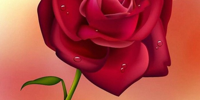 1080x1920 HD Rose Wallpapers For Mobile - WallpaperPulse | art in 2019 | Rose