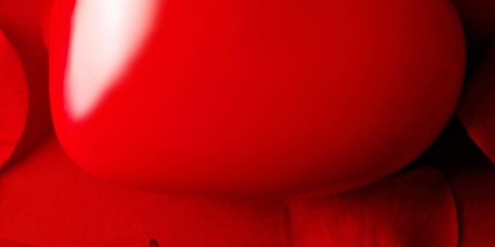 1080x1920 68+ Red Rose Wallpapers on WallpaperPlay