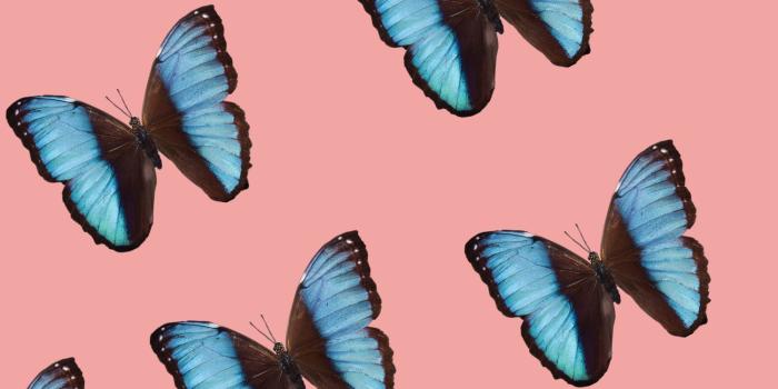 1500x2400 butterflies | iPhone background | ❋ COLORING OUTSIDE THE LINES