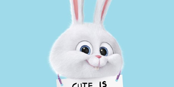 750x1334 The Most Popular Wallpapers of 3uTools in this Week - 3uTools