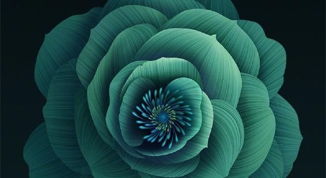 640x1280 Download Xiaomi MI 6X wallpaper now. Browse millions of popular