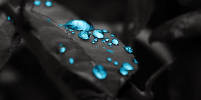 1600x1000 Wallpaper HD | Popular Wallpapers Downloads