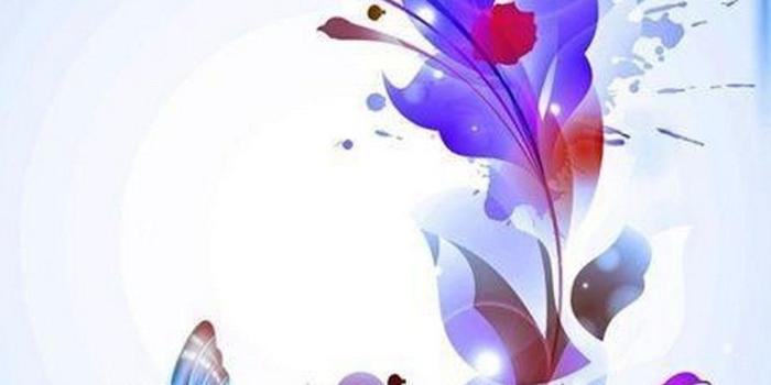 1080x1920 Pink Butterfly Wallpaper iPhone | 2019 3D iPhone Wallpaper