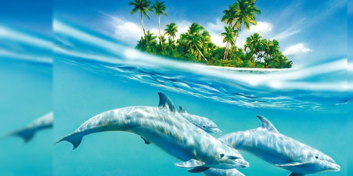 1920x1080 55+ Top 10 Most Popular Wallpapers - Download at WallpaperBro