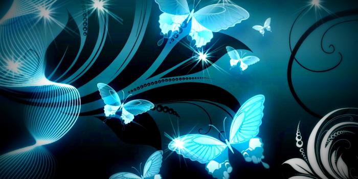 2560x1600 Blue Butterfly Wallpaper Background (63+ images)