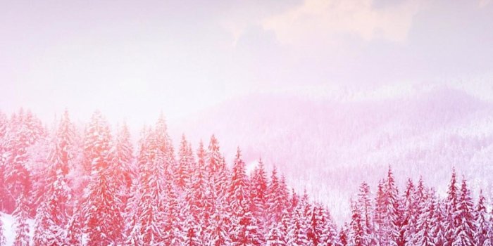 1080x1920 Hd Girly Iphone Wallpaper - Iphone Wallpaper Pretty (#61946) - HD