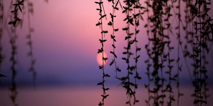 1024x768 7550 pretty wallpaper for desktop