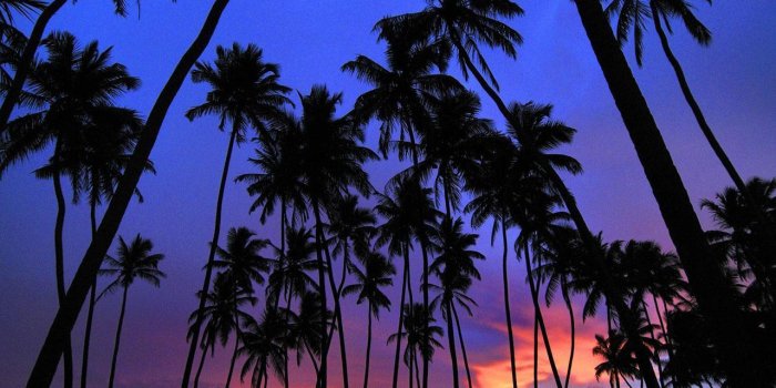 1280x1024 Pretty Wallpaper on newwallpaperdownload.com