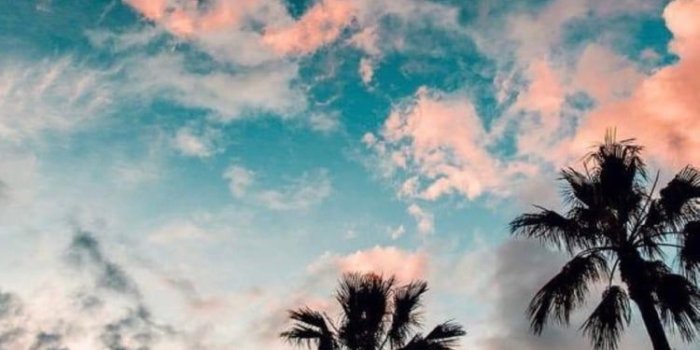 750x1174 Image about pretty in Wallpapers by josephine