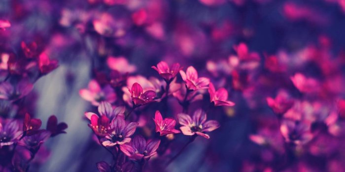 1920x1200 Pretty Wallpapers - Top Free Pretty Backgrounds - WallpaperAccess