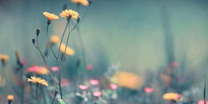 1920x1080 Beautiful - Pretty Desktop Wallpaper Hd (#157754) - HD Wallpaper