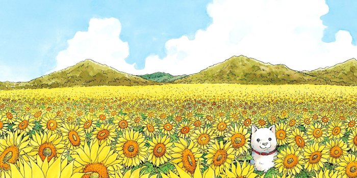 1920x1200 murakami 4K wallpapers for your desktop or mobile screen free and