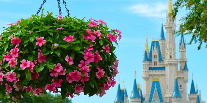 1280x1024 Walt Disney World Resort Wallpaper for Desktop, Laptop and SmartPhones