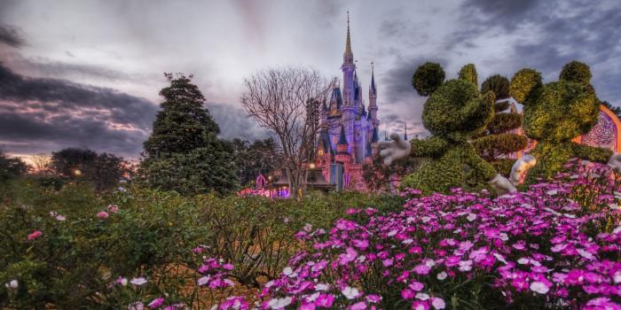 1920x1200 Disney World Desktop Wallpaper, Disney World Photo, New Wallpapers