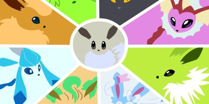 999x799 Eeveelutions Wallpapers - Top Free Eeveelutions Backgrounds