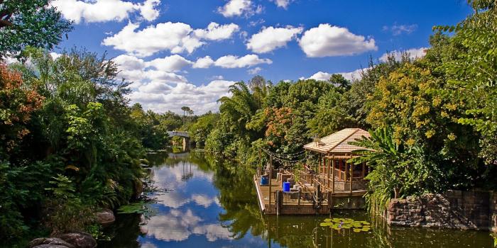 1920x1200 Disney World Landscape Desktop Wallpapers - Top Free Disney World