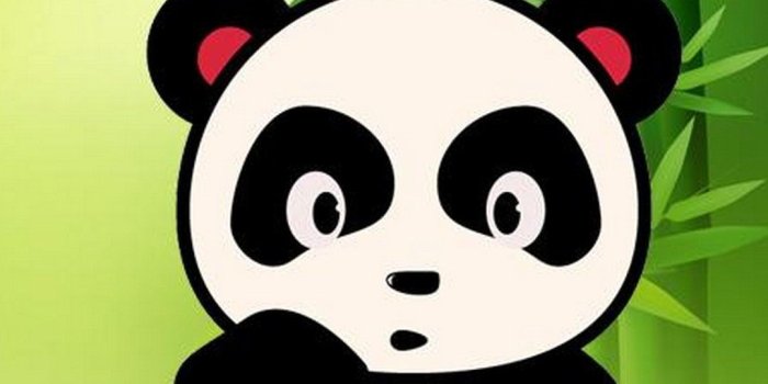 1080x1920 79+ Panda Wallpapers on WallpaperPlay