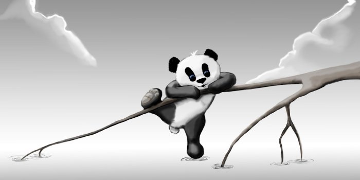 1920x1080 Cute Artistic Black and White Panda Wallpaper - Wallpaper Stream