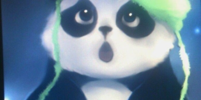 775x1261 10 Panda Wallpaper Real - Download Wallpaper HD For PC Computer