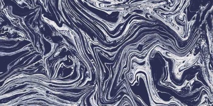 1000x1000 Blue Wallpaper - Dark, Blue, Navy Blue, Flowered and More - W&M